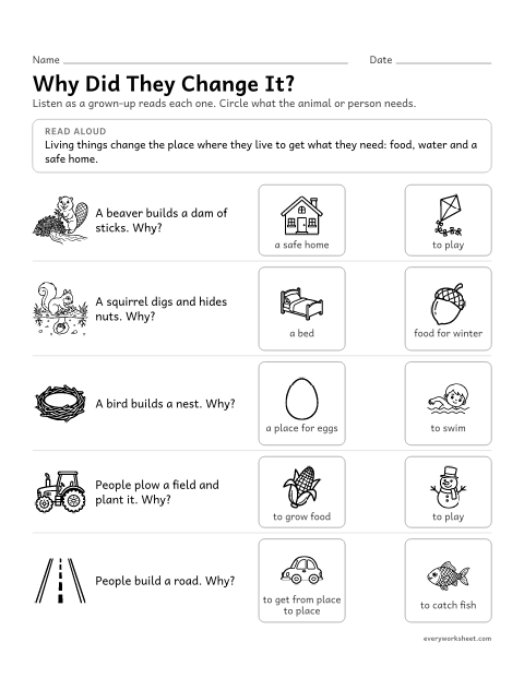Preview of the printable “Animals change their Environment: Why?” worksheet: explaining why animals and people change their surroundings