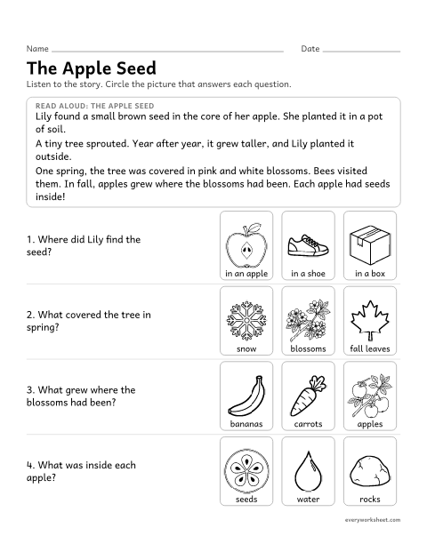 Preview of the printable “Apple tree life Cycle: read and answer” worksheet: listening to a passage about the apple tree life cycle and answering questions