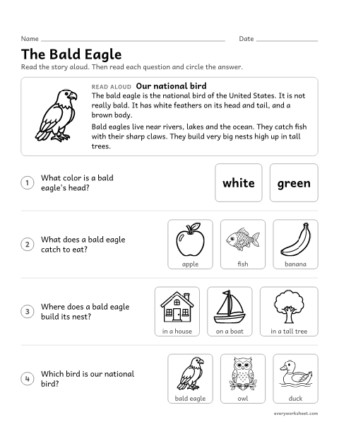 Preview of the printable “Bald eagle Read-Aloud” worksheet: listening to facts about the bald eagle, our national bird, and answering questions