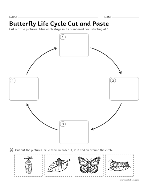 Preview of the printable “Butterfly life cycle cut and paste” worksheet: putting the butterfly life cycle stages in order