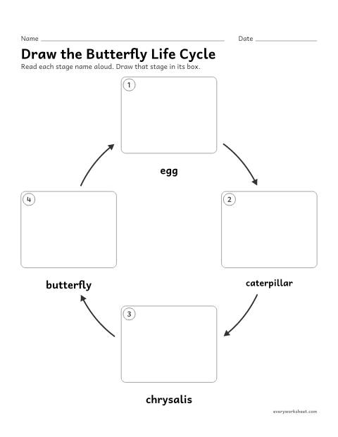 Preview of the printable “Draw the butterfly life cycle” worksheet: drawing the stages of the butterfly life cycle