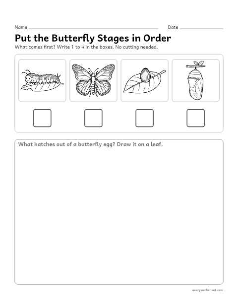 Preview of the printable “Number the butterfly life cycle stages” worksheet: ordering the stages of the butterfly life cycle