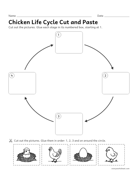 Preview of the printable “Chicken life cycle cut and paste” worksheet: putting the chicken life cycle stages in order