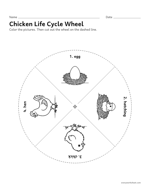 Preview of the printable “Chicken life cycle wheel” worksheet: turning a wheel to show the chicken life cycle as a cycle