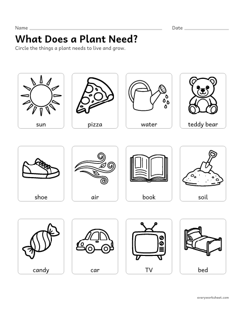 Preview of the printable “Circle what plants need” worksheet: telling what plants need from things they do not need
