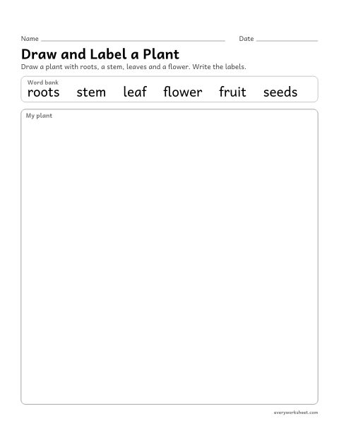Preview of the printable “Draw and label a plant” worksheet: drawing a plant and labeling its parts