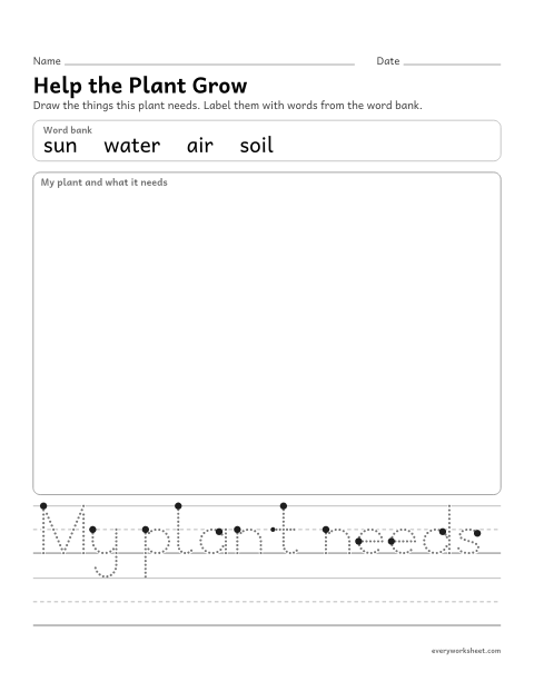 Preview of the printable “Draw what a plant needs” worksheet: drawing a plant with the things it needs and labeling them