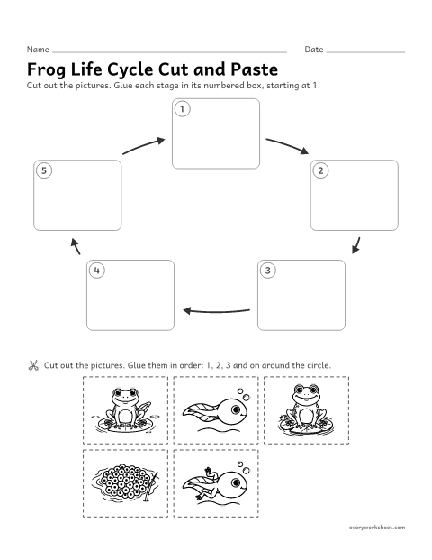 Preview of the printable “Frog life cycle cut and paste” worksheet: putting the frog life cycle stages in order