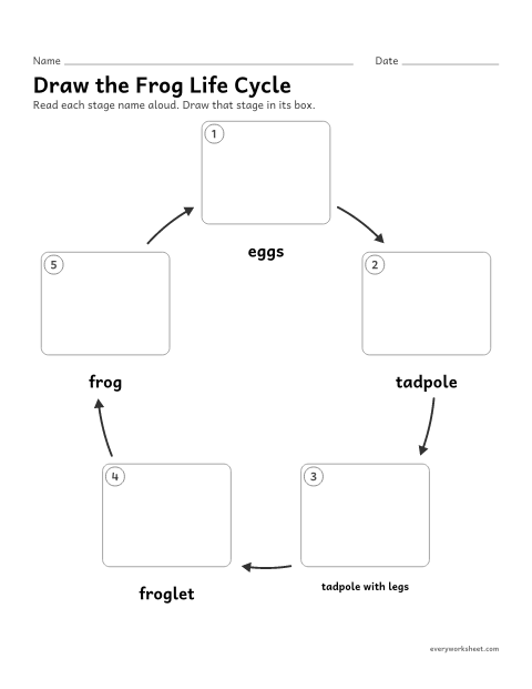 Preview of the printable “Draw the frog life cycle” worksheet: drawing the stages of the frog life cycle