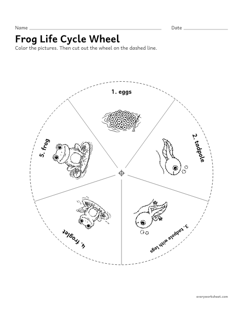 Preview of the printable “Frog life cycle wheel” worksheet: turning a wheel to show the frog life cycle as a cycle