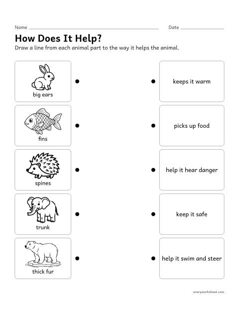 Preview of the printable “Animal parts and their jobs matching” worksheet: matching animal parts to how they help the animal survive