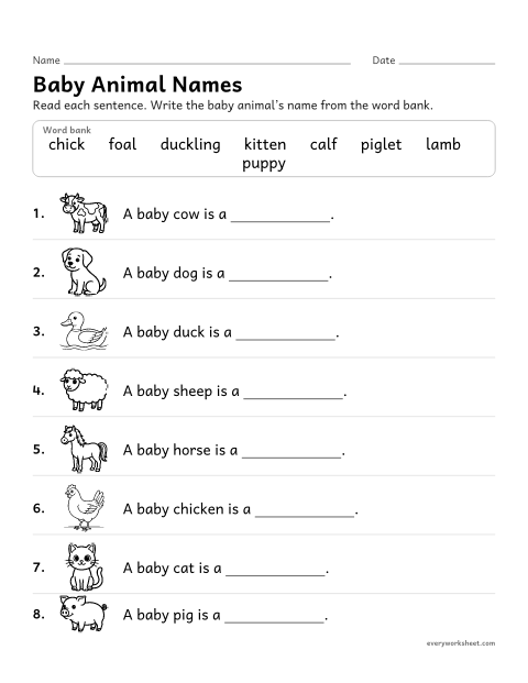 Preview of the printable “Baby animal names worksheet” worksheet: writing the names of baby animals