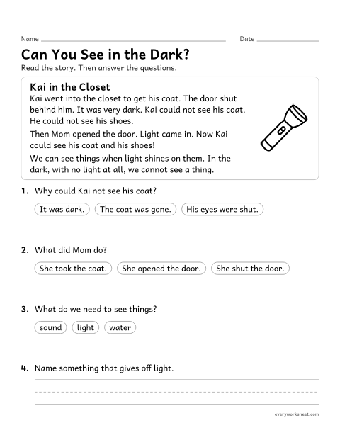 Preview of the printable “Can you see in the Dark? reading passage” worksheet: reading that we see objects only when light shines on them