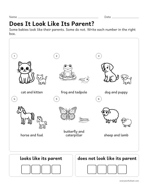 Preview of the printable “Does the baby look like its Parent? sort” worksheet: sorting young animals that do and do not look like their parents