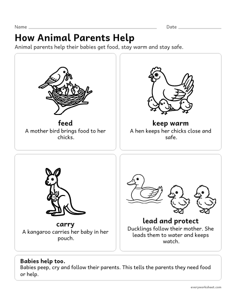 Preview of the printable “How animal parents help their babies poster” worksheet: describing how parents help their offspring survive