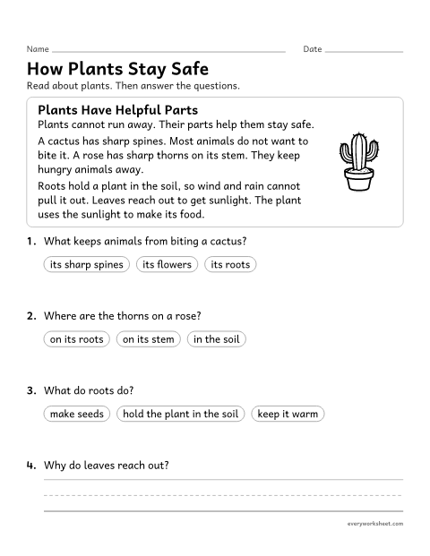 Preview of the printable “How plants stay safe reading passage” worksheet: reading how plants use their parts to survive