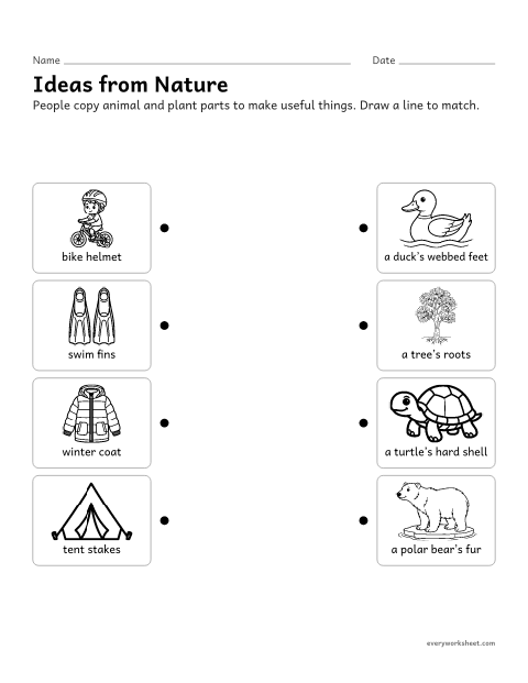 Preview of the printable “Ideas from Nature: animal and plant parts matching” worksheet: matching human inventions to the plant and animal parts they copy