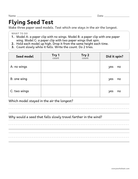Preview of the printable “Seed dispersal Investigation: flying seed test” worksheet: testing models of wind-dispersed seeds and comparing how they perform