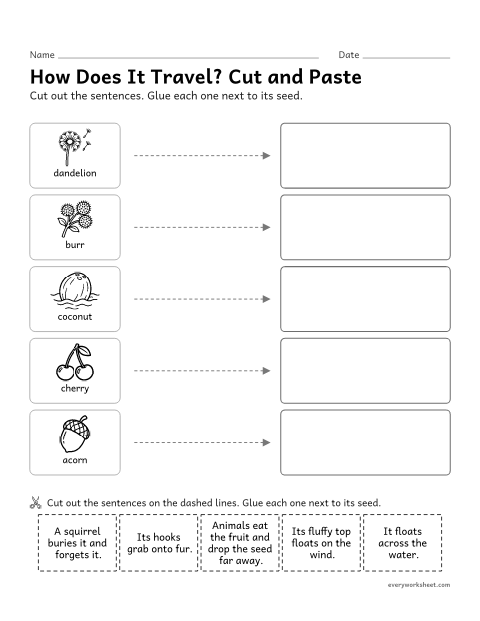 Preview of the printable “How seeds travel cut and paste” worksheet: matching seeds to the way they are dispersed