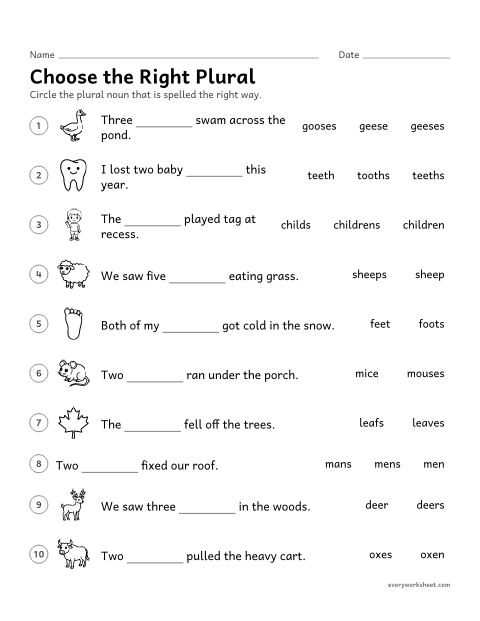 Preview of the printable “Choose the right plural” worksheet: choosing the correct irregular plural in a sentence