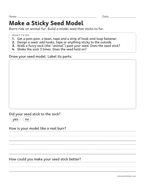 Preview of the printable “Seed dispersal Model: make a sticky seed” worksheet: building a model that shows how animals carry seeds on their fur