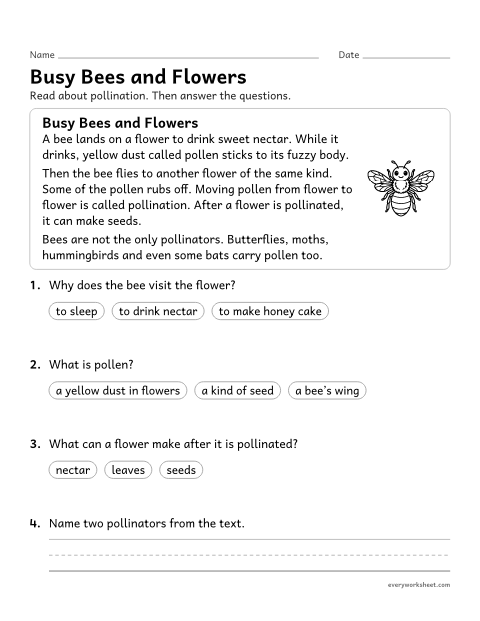 Preview of the printable “Pollination reading passage for 2nd grade” worksheet: reading about how animals pollinate flowers and answering questions