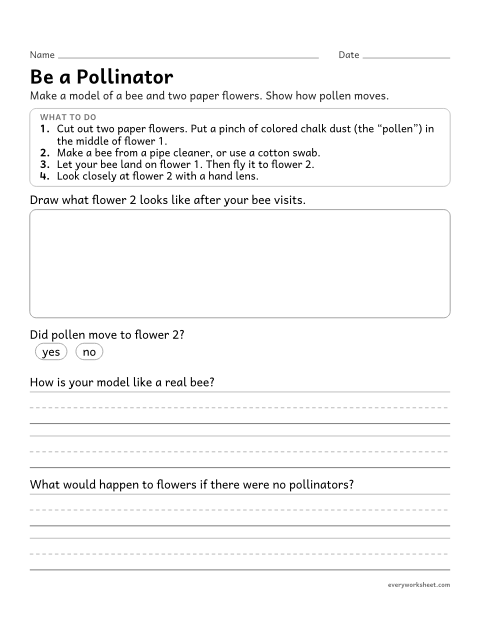 Preview of the printable “Pollination model activity worksheet” worksheet: using a model to show how an animal moves pollen between flowers