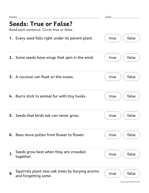 Preview of the printable “Seed dispersal true or false” worksheet: checking facts about seed dispersal and pollination