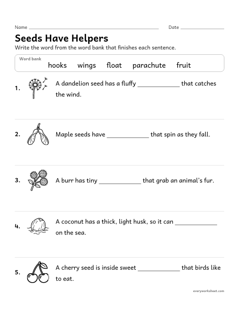 Preview of the printable “Seed dispersal fill in the blank” worksheet: explaining how a seed’s shape helps it travel