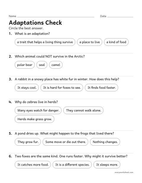 Preview of the printable “Adaptations quiz for 3rd grade” worksheet: reviewing adaptations, variation, survival and animal groups