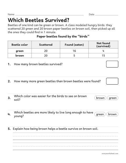 Preview of the printable “Variation and Survival: camouflage data worksheet” worksheet: using data to explain how variation in color can help some individuals survive