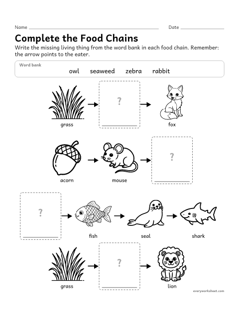 Preview of the printable “Complete the food chain worksheet for 3rd grade” worksheet: completing food chains by naming the missing producer or consumer