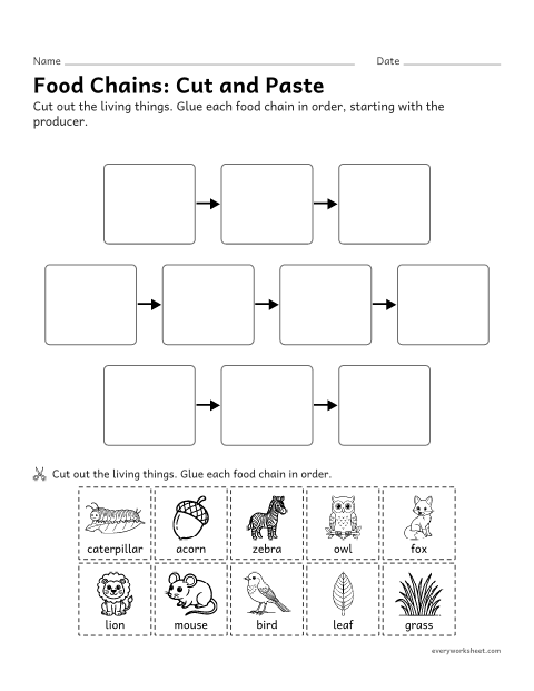 Preview of the printable “Food chain cut and paste worksheet for 3rd grade” worksheet: ordering living things into food chains from producer to top consumer