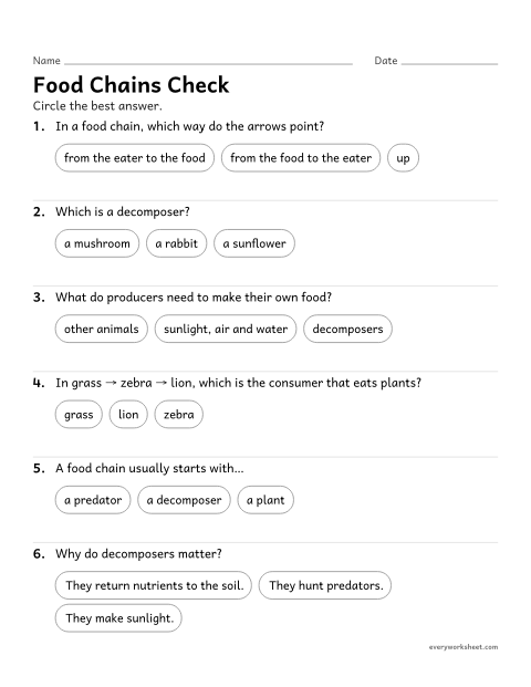 Preview of the printable “Food chains quiz for 3rd grade” worksheet: reviewing producers, consumers, decomposers and food chains