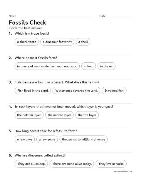 Preview of the printable “Fossils quiz for 3rd grade” worksheet: reviewing how fossils form and what they tell us