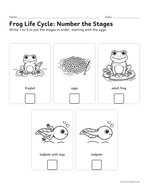 Preview of the printable “Frog life cycle worksheet for 3rd grade” worksheet: sequencing the stages of a frog’s life cycle