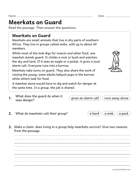 Preview of the printable “Animals in groups reading Passage: meerkats” worksheet: reading an informational passage and arguing that living in a group helps animals survive