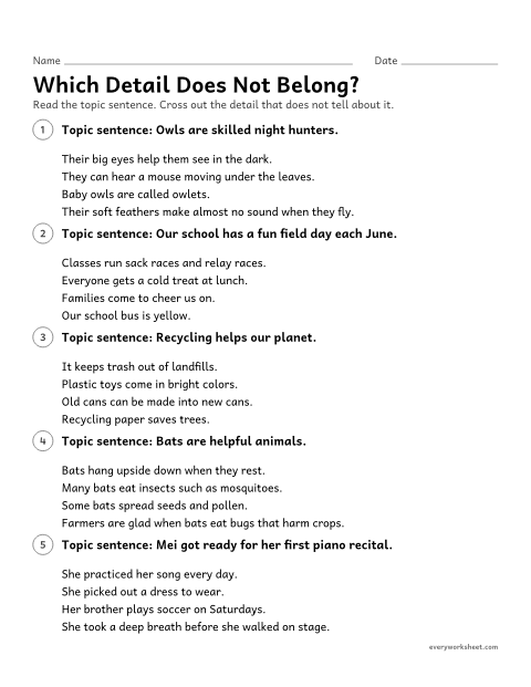 Preview of the printable “Which detail does not Belong?” worksheet: keeping every supporting detail about the main idea
