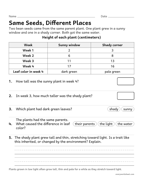 Preview of the printable “Traits and Environment: plant growth data” worksheet: using plant growth data as evidence that the environment can influence traits