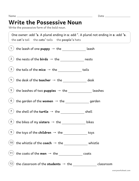Preview of the printable “Write the possessive noun” worksheet: writing singular, plural, and irregular plural possessive nouns