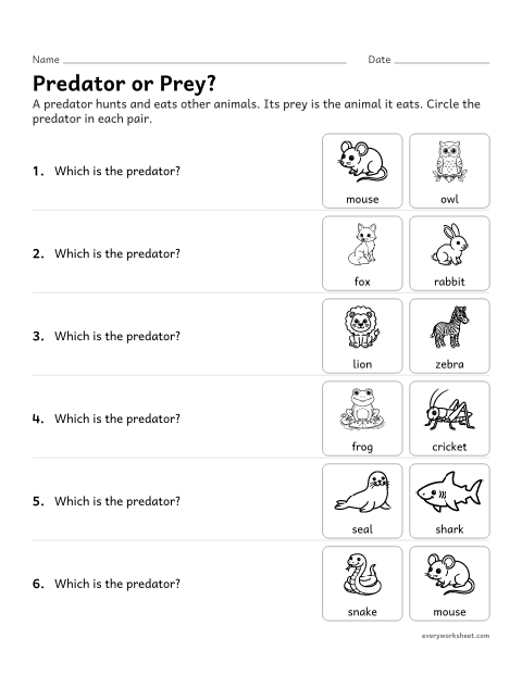 Preview of the printable “Predator and prey worksheet for 3rd grade” worksheet: identifying the predator and the prey in pairs of animals