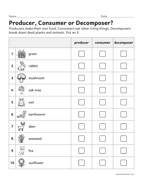Preview of the printable “Producers, consumers and decomposers sort” worksheet: classifying living things as producers, consumers or decomposers