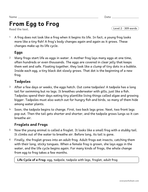 Preview of the printable “From egg to frog” worksheet: describing the steps in a life cycle using words that show sequence