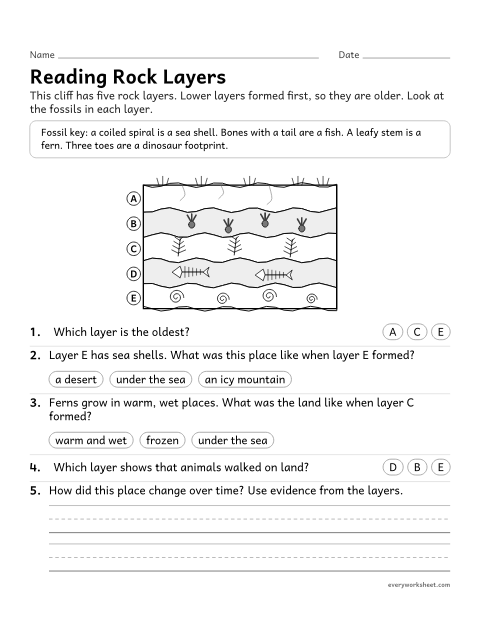 Preview of the printable “Rock layers and fossils worksheet for 3rd grade” worksheet: using fossils in rock layers as evidence of the organisms and environments of long ago