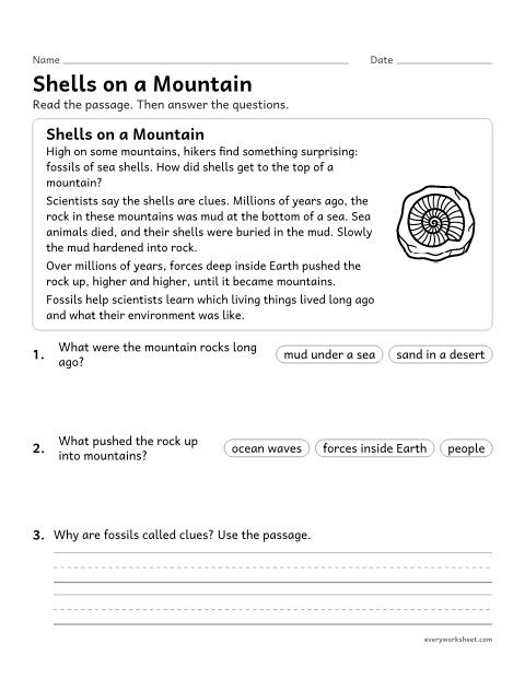 Preview of the printable “Fossils reading passage for 3rd grade” worksheet: reading an informational passage about fossil evidence of past environments