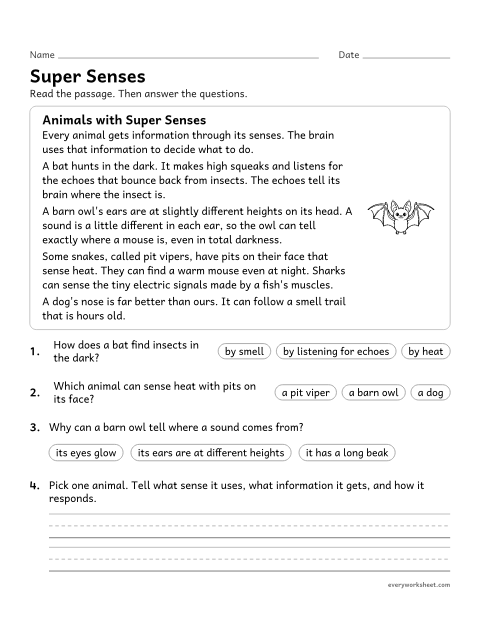 Preview of the printable “Animal senses reading passage for 4th grade” worksheet: explaining how animals receive and use information from their senses
