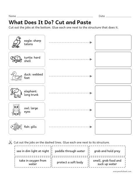 Preview of the printable “Animal structures and functions cut and paste” worksheet: matching animal structures to their functions