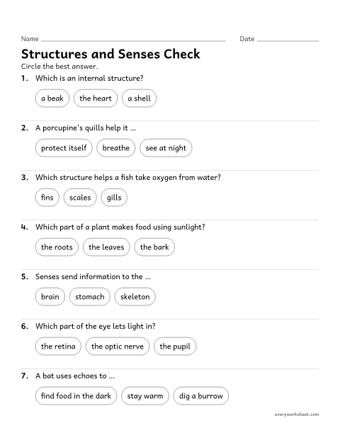Preview of the printable “Animal structures and senses quiz for 4th grade” worksheet: reviewing internal and external structures and the senses
