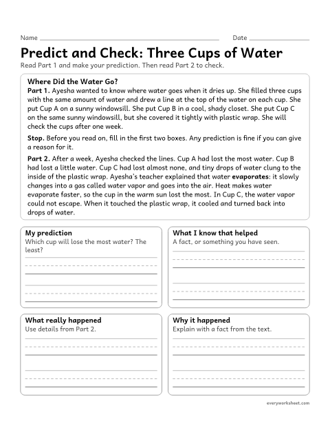 Preview of the printable “Predict and Check: three cups of water” worksheet: predicting the result of a simple science test, then checking the prediction against the results and the reason