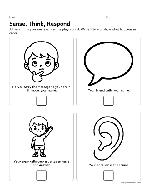Preview of the printable “Senses and the Brain: put the steps in order” worksheet: sequencing how the senses send information to the brain and the body responds
